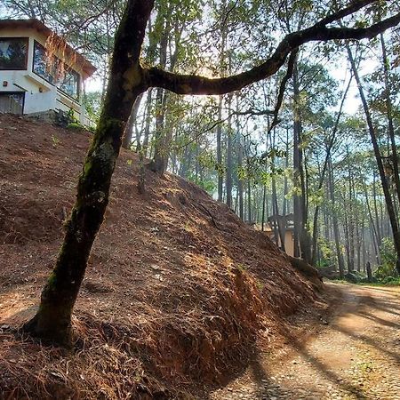 Villa Fantasia A 15 Min A Pie De Cascada 马萨米特拉 外观 照片