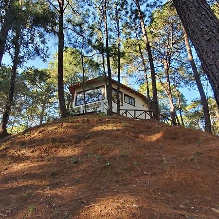 Villa Fantasia A 15 Min A Pie De Cascada 马萨米特拉 外观 照片