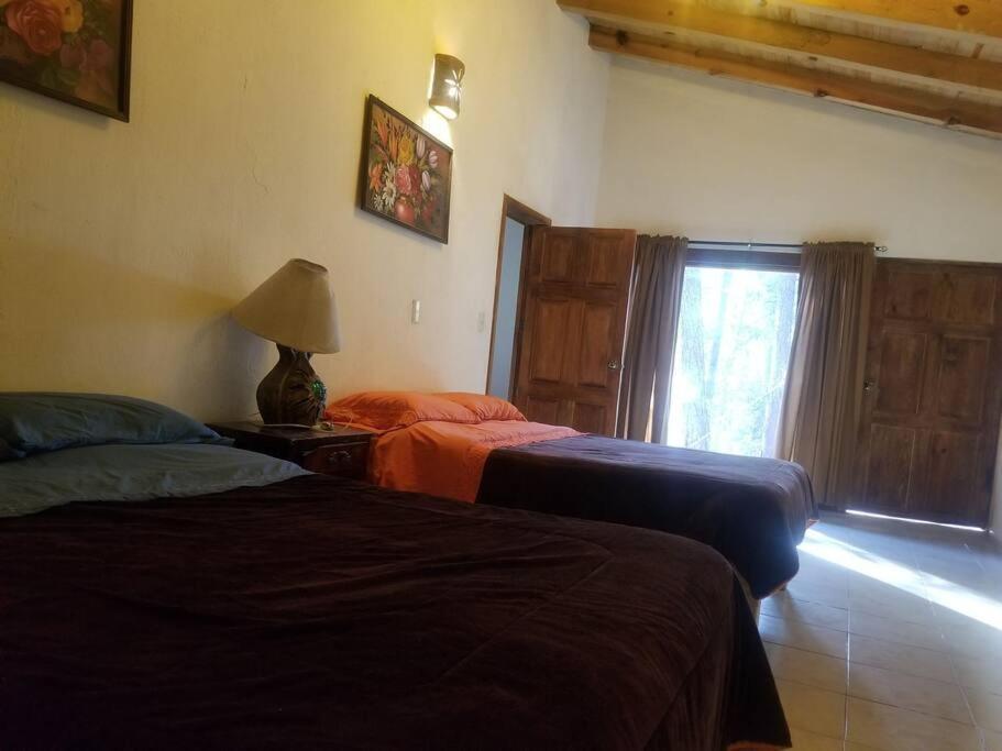 Villa Fantasia A 15 Min A Pie De Cascada 马萨米特拉 外观 照片
