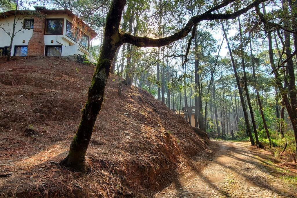 Villa Fantasia A 15 Min A Pie De Cascada 马萨米特拉 外观 照片