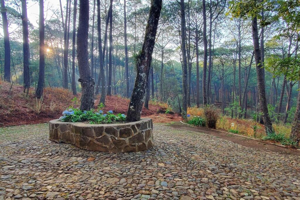 Villa Fantasia A 15 Min A Pie De Cascada 马萨米特拉 外观 照片