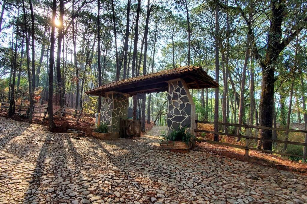 Villa Fantasia A 15 Min A Pie De Cascada 马萨米特拉 外观 照片