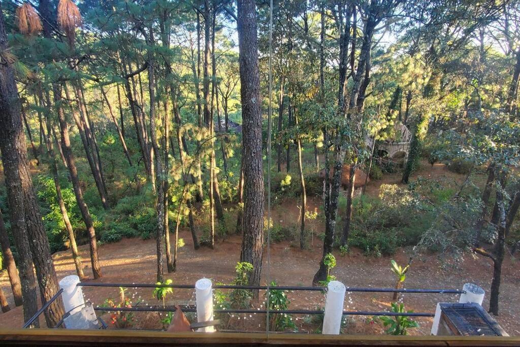 Villa Fantasia A 15 Min A Pie De Cascada 马萨米特拉 外观 照片
