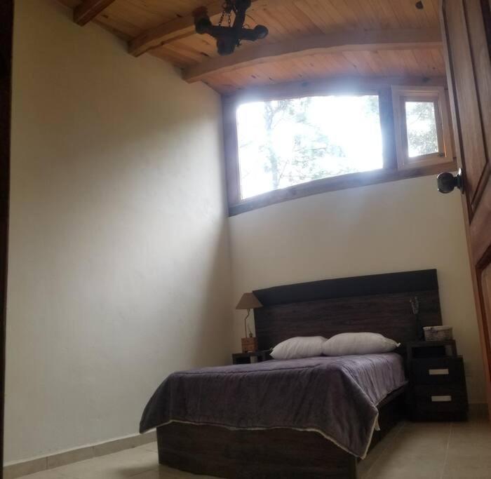 Villa Fantasia A 15 Min A Pie De Cascada 马萨米特拉 外观 照片