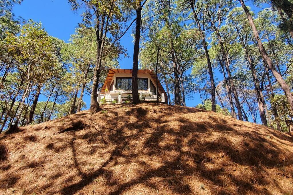 Villa Fantasia A 15 Min A Pie De Cascada 马萨米特拉 外观 照片