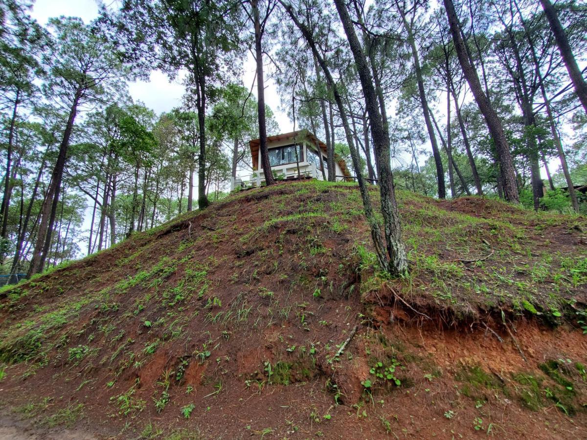 Villa Fantasia A 15 Min A Pie De Cascada 马萨米特拉 外观 照片